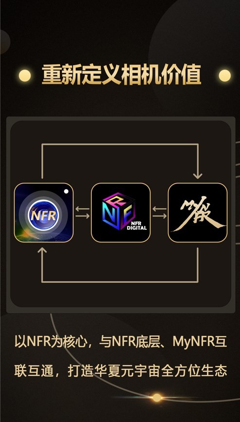 NFR相机