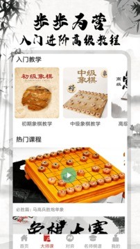 中国象棋大师